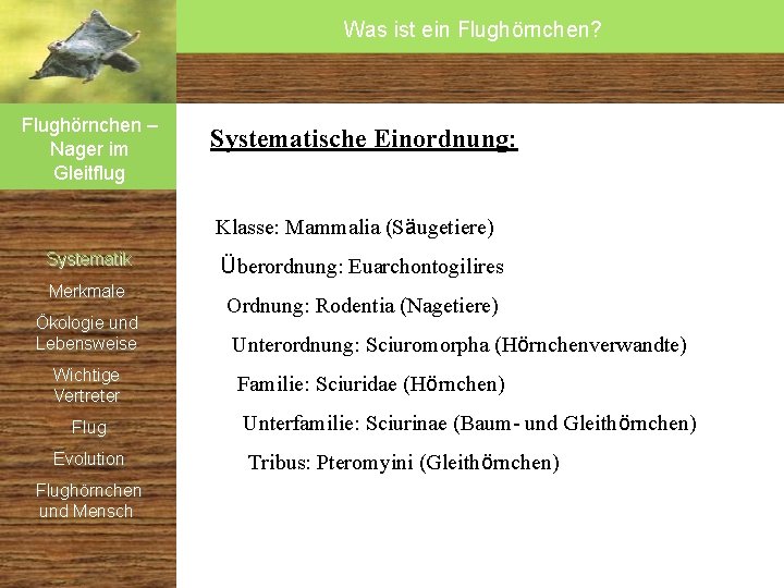 Was ist ein Flughörnchen? Flughörnchen – Nager im Gleitflug Systematische Einordnung: Klasse: Mammalia (Säugetiere) Was ist ein Flughörnchen? Flughörnchen – Nager im Gleitflug Systematische Einordnung: Klasse: Mammalia (Säugetiere)