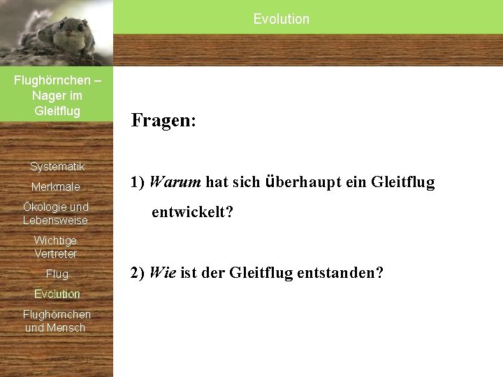 Evolution Flughörnchen – Nager im Gleitflug Systematik Merkmale Ökologie und Lebensweise Fragen: 1) Warum Evolution Flughörnchen – Nager im Gleitflug Systematik Merkmale Ökologie und Lebensweise Fragen: 1) Warum