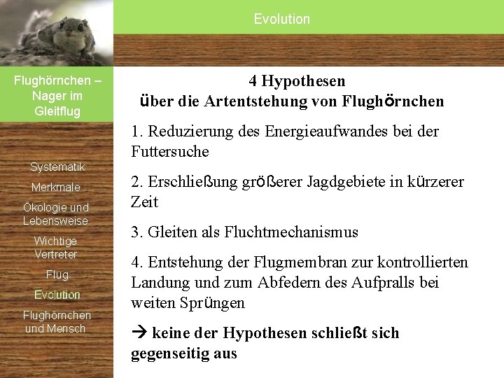Evolution Flughörnchen – Nager im Gleitflug Systematik Merkmale Ökologie und Lebensweise Wichtige Vertreter Flug Evolution Flughörnchen – Nager im Gleitflug Systematik Merkmale Ökologie und Lebensweise Wichtige Vertreter Flug