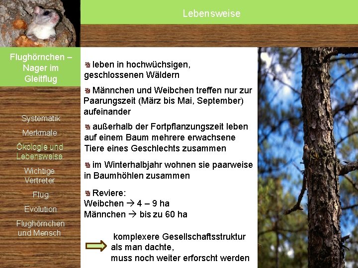 Lebensweise Flughörnchen – Nager im Gleitflug Systematik Merkmale Ökologie und Lebensweise Wichtige Vertreter Flug Lebensweise Flughörnchen – Nager im Gleitflug Systematik Merkmale Ökologie und Lebensweise Wichtige Vertreter Flug