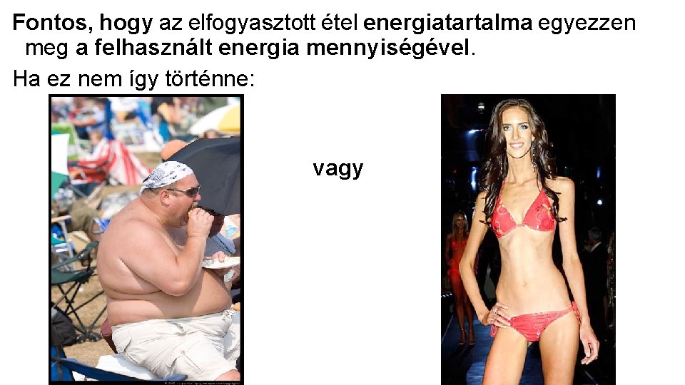 Fontos, hogy az elfogyasztott étel energiatartalma egyezzen meg a felhasznált energia mennyiségével. Ha ez Fontos, hogy az elfogyasztott étel energiatartalma egyezzen meg a felhasznált energia mennyiségével. Ha ez