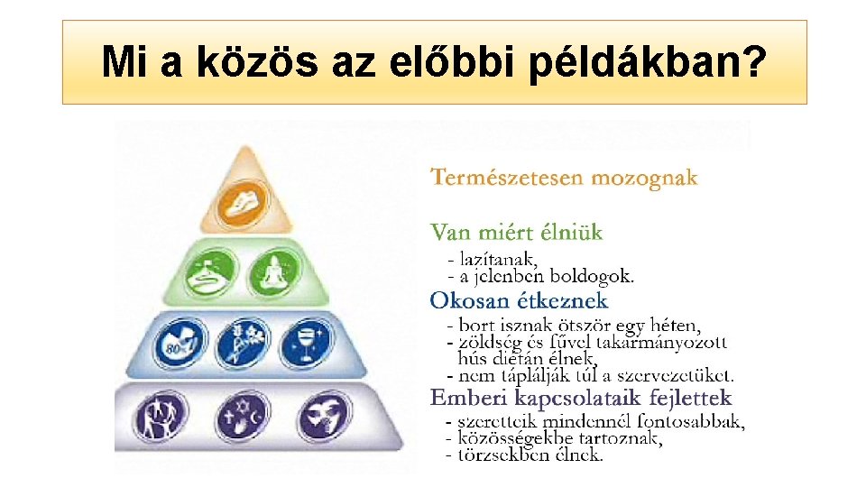 Mi a közös az előbbi példákban? Mi a közös az előbbi példákban?