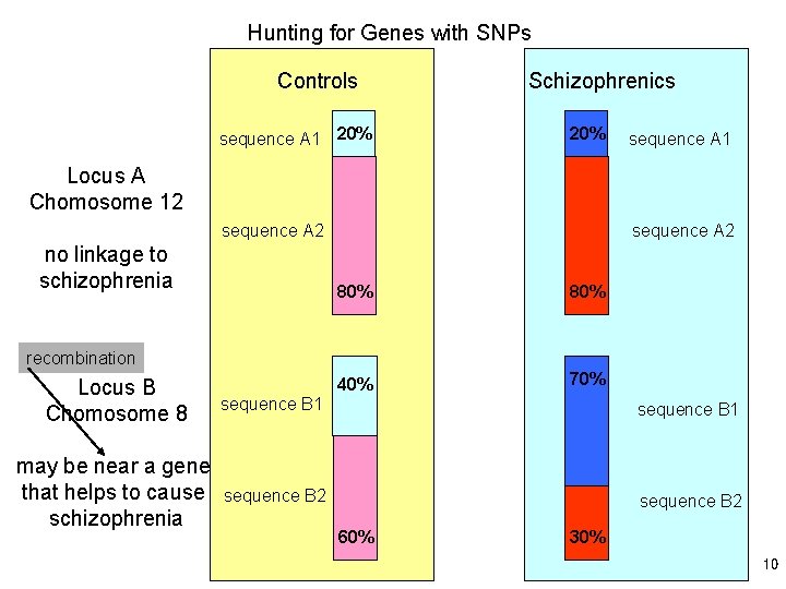 Hunting for Genes with SNPs Controls sequence A 1 20% Schizophrenics 20% sequence A