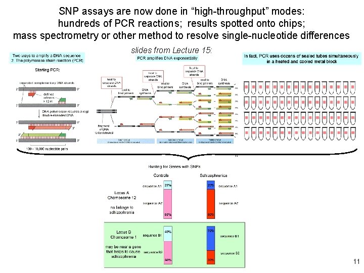 SNP assays are now done in “high-throughput” modes: hundreds of PCR reactions; results spotted