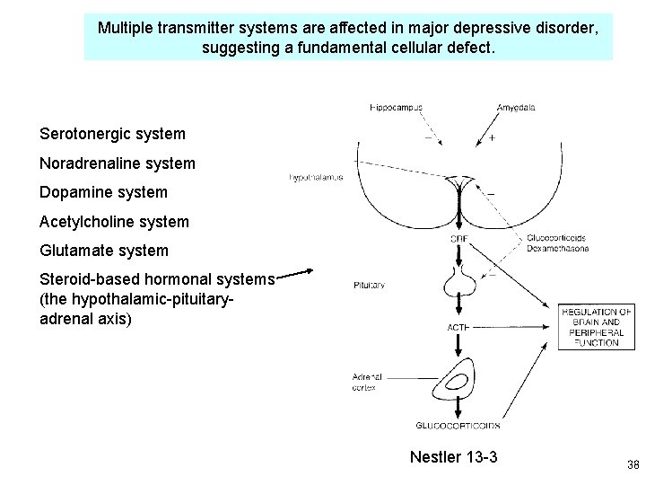 Multiple transmitter systems are affected in major depressive disorder, suggesting a fundamental cellular defect.