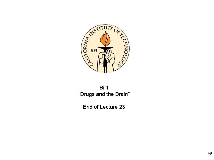 Bi 1 “Drugs and the Brain” End of Lecture 23 48 