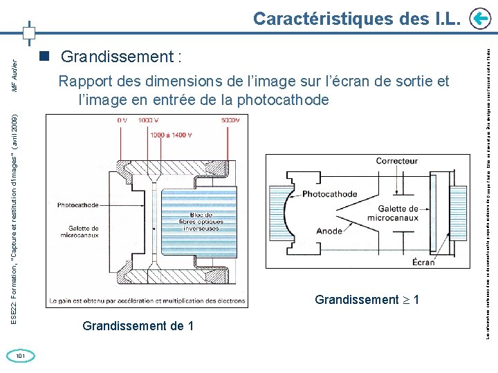 ESE 22: Formation, “Capture et restitution d’images” (avril 2009) MF Audier 101 Grandissement :
