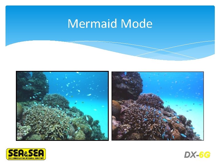 Mermaid Mode DX-6 G 
