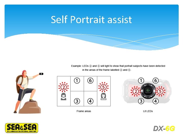 Self Portrait assist DX-6 G 
