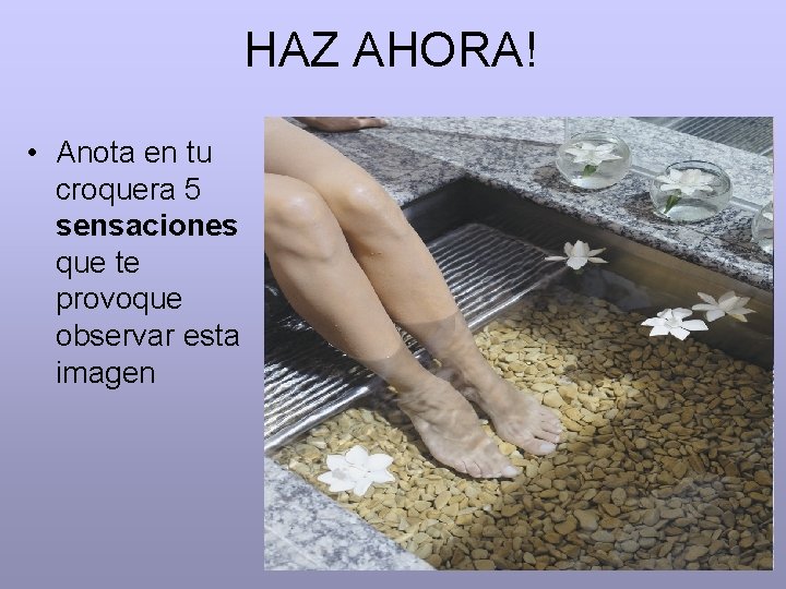HAZ AHORA! • Anota en tu croquera 5 sensaciones que te provoque observar esta