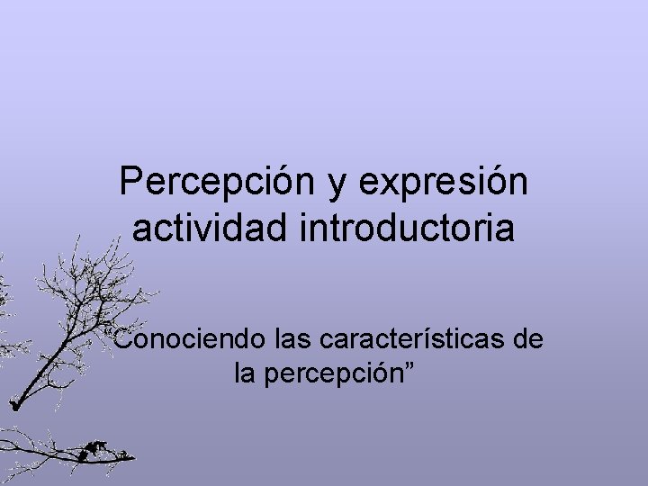 Percepción y expresión actividad introductoria “Conociendo las características de la percepción” 