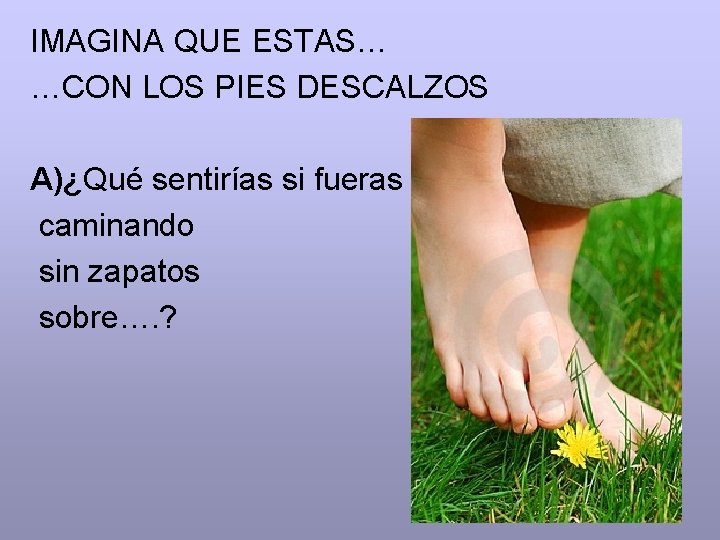 IMAGINA QUE ESTAS… …CON LOS PIES DESCALZOS A)¿Qué sentirías si fueras caminando sin zapatos