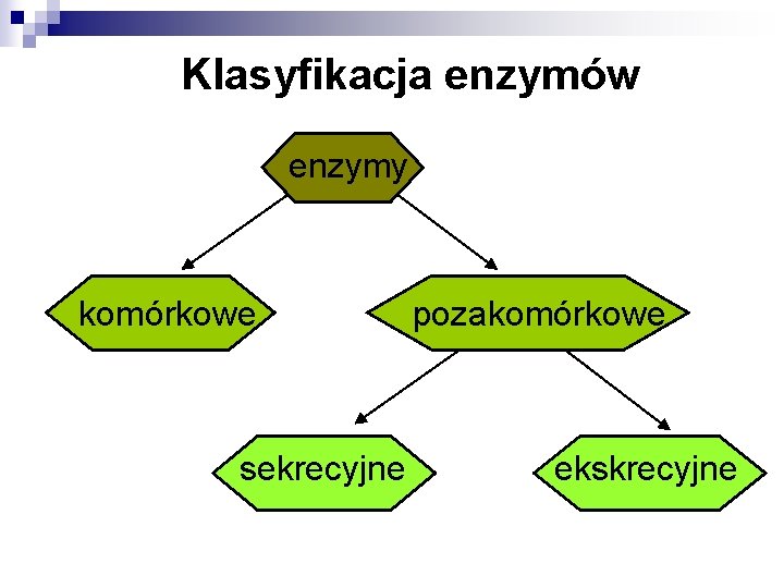 Klasyfikacja enzymów enzymy komórkowe sekrecyjne pozakomórkowe ekskrecyjne 