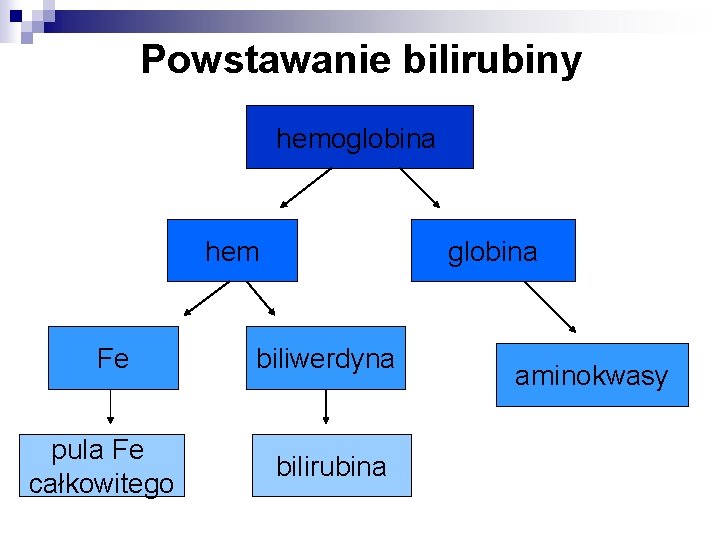 Powstawanie bilirubiny hemoglobina hem Fe pula Fe całkowitego globina biliwerdyna bilirubina aminokwasy 