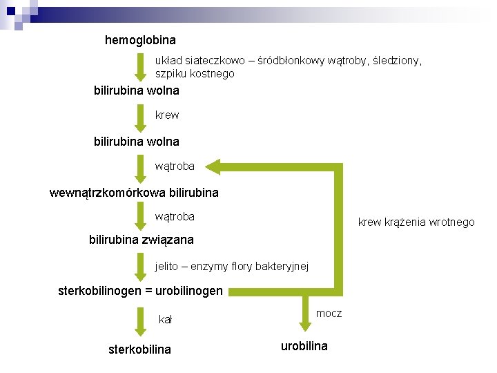 hemoglobina układ siateczkowo – śródbłonkowy wątroby, śledziony, szpiku kostnego bilirubina wolna krew bilirubina wolna hemoglobina układ siateczkowo – śródbłonkowy wątroby, śledziony, szpiku kostnego bilirubina wolna krew bilirubina wolna