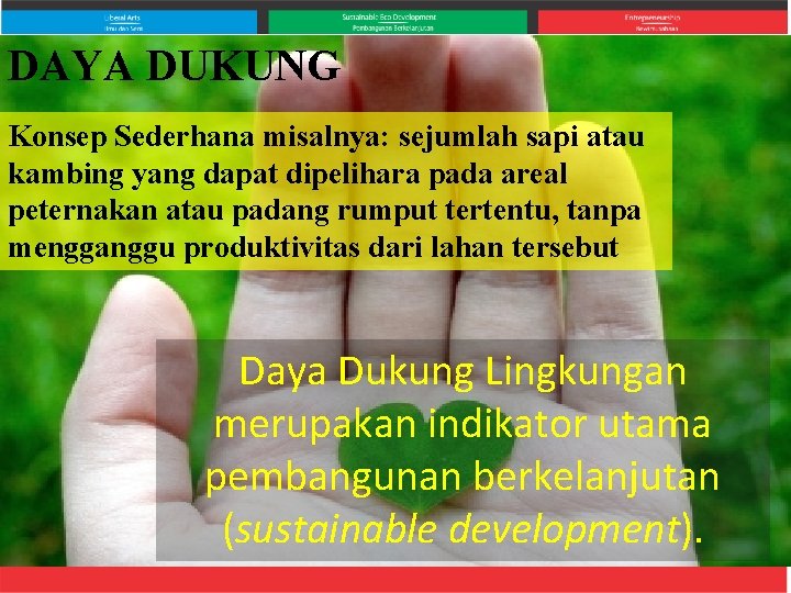 DAYA DUKUNG Konsep Sederhana misalnya: sejumlah sapi atau kambing yang dapat dipelihara pada areal