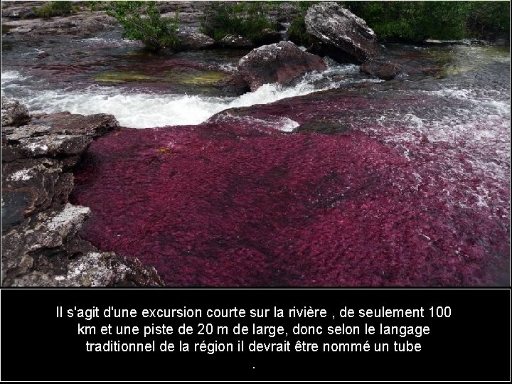 Il s'agit d'une excursion courte sur la rivière , de seulement 100 km et