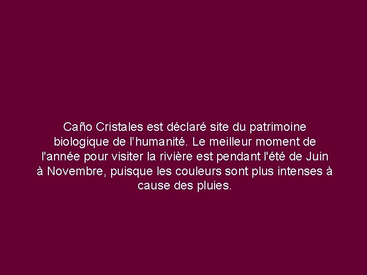 Caño Cristales est déclaré site du patrimoine biologique de l’humanité. Le meilleur moment de
