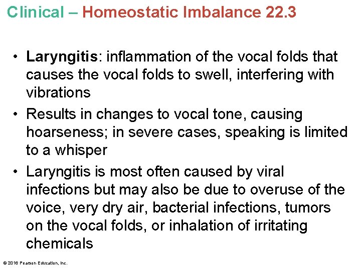 Clinical – Homeostatic Imbalance 22. 3 • Laryngitis: inflammation of the vocal folds that