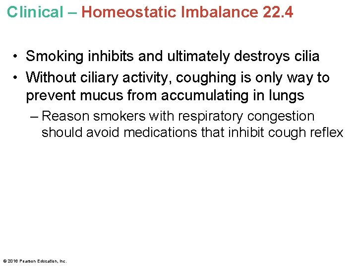 Clinical – Homeostatic Imbalance 22. 4 • Smoking inhibits and ultimately destroys cilia •