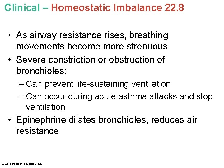 Clinical – Homeostatic Imbalance 22. 8 • As airway resistance rises, breathing movements become