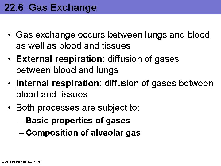 22. 6 Gas Exchange • Gas exchange occurs between lungs and blood as well