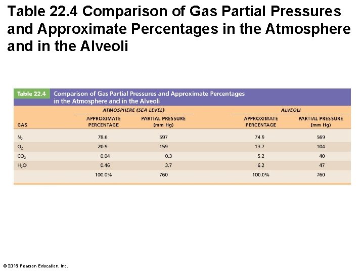 Table 22. 4 Comparison of Gas Partial Pressures and Approximate Percentages in the Atmosphere