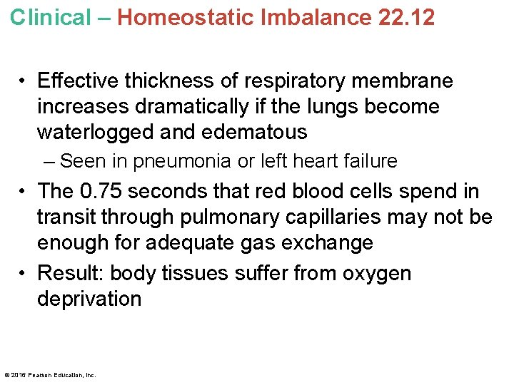 Clinical – Homeostatic Imbalance 22. 12 • Effective thickness of respiratory membrane increases dramatically