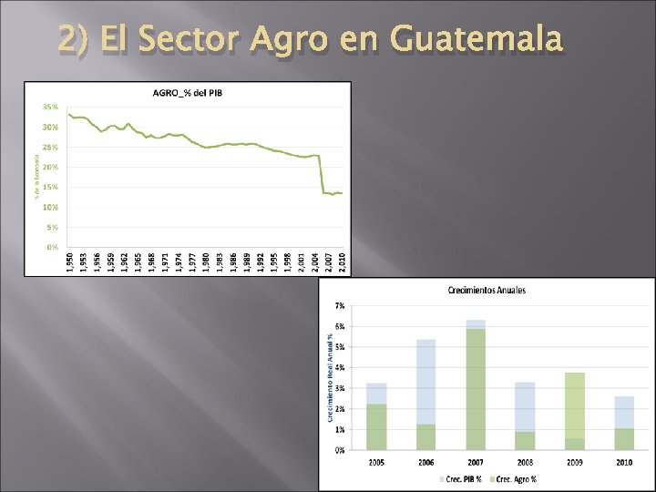 2) El Sector Agro en Guatemala 