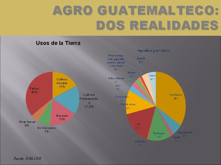 AGRO GUATEMALTECO: DOS REALIDADES Usos de la Tierra Pastos 36% Otras tierras 5% Cultivos