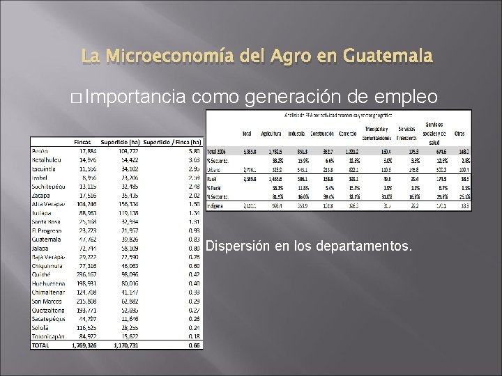 La Microeconomía del Agro en Guatemala � Importancia como generación de empleo � �