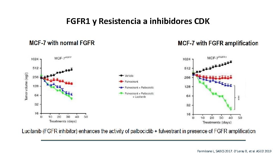 FGFR 1 y Resistencia a inhibidores CDK 41 Formisano L, SABCS 2017. O’Leray B,