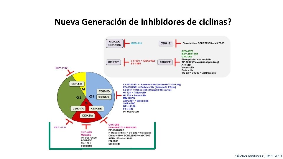 Nueva Generación de inhibidores de ciclinas? 45 Sánchez-Martínez C, BMCL 2019. 