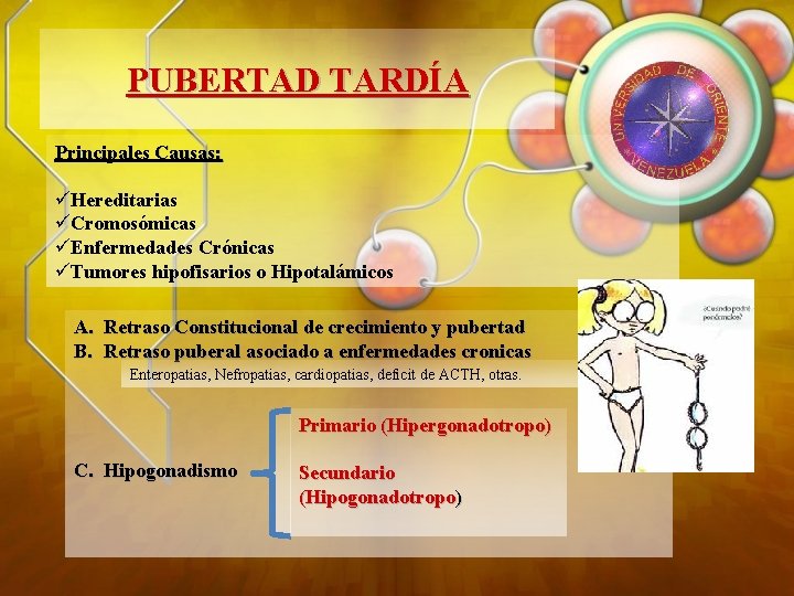 PUBERTAD TARDÍA Principales Causas: üHereditarias üCromosómicas üEnfermedades Crónicas üTumores hipofisarios o Hipotalámicos A. Retraso