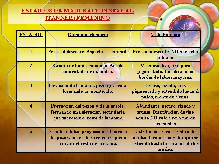 ESTADIOS DE MADURACION SEXUAL (TANNER) FEMENINO ESTADIO. 1 2 3 Glándula Mamaria Pre –