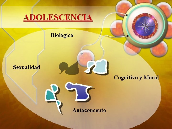 ADOLESCENCIA Biológico Sexualidad Cognitivo y Moral Autoconcepto 