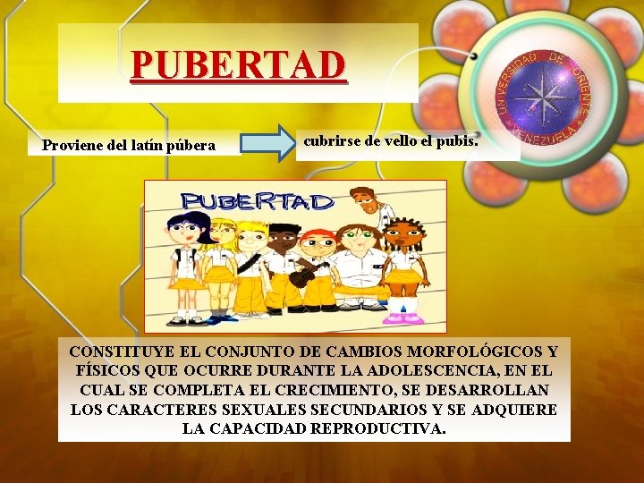 PUBERTAD Proviene del latín púbera cubrirse de vello el pubis. CONSTITUYE EL CONJUNTO DE