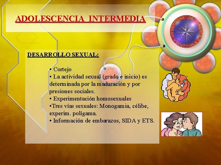 ADOLESCENCIA INTERMEDIA DESARROLLO SEXUAL: • Cortejo • La actividad sexual (grado e inicio) es
