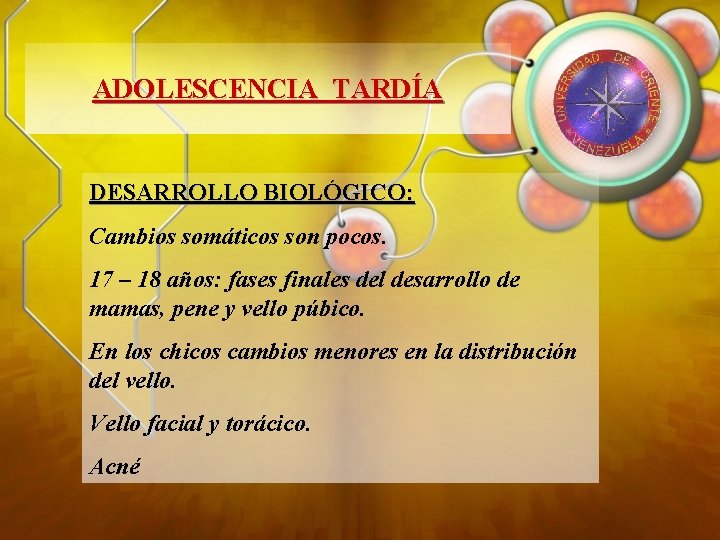 ADOLESCENCIA TARDÍA DESARROLLO BIOLÓGICO: Cambios somáticos son pocos. 17 – 18 años: fases finales