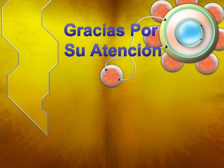 Gracias Por Su Atención 