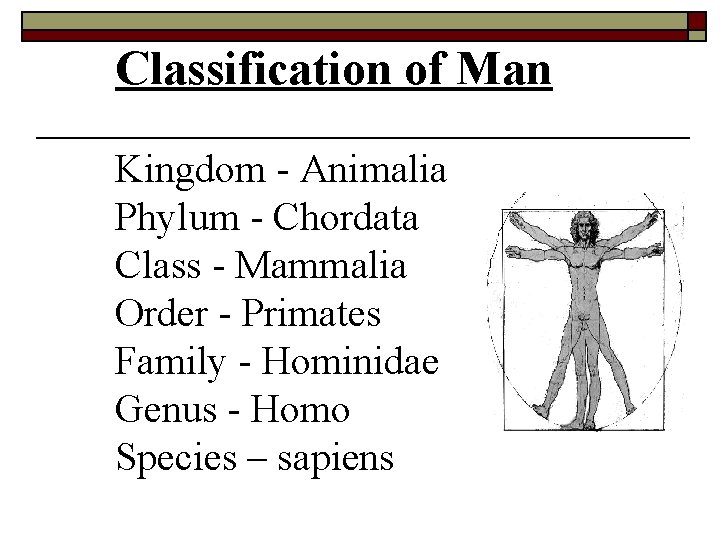 Classification of Man Kingdom - Animalia Phylum - Chordata Class - Mammalia Order -