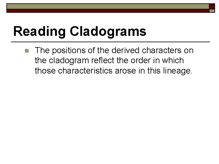 Reading Cladograms n The positions of the derived characters on the cladogram reflect the