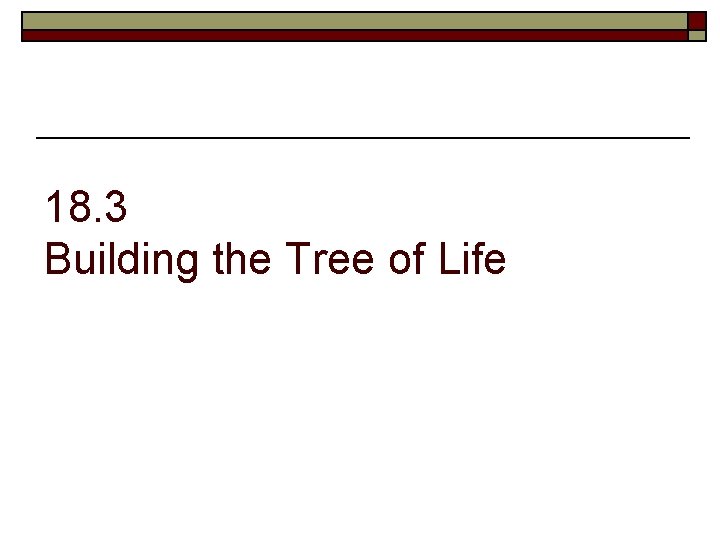 18. 3 Building the Tree of Life 