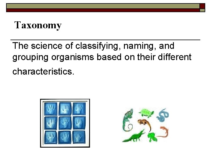 Taxonomy The science of classifying, naming, and grouping organisms based on their different characteristics.