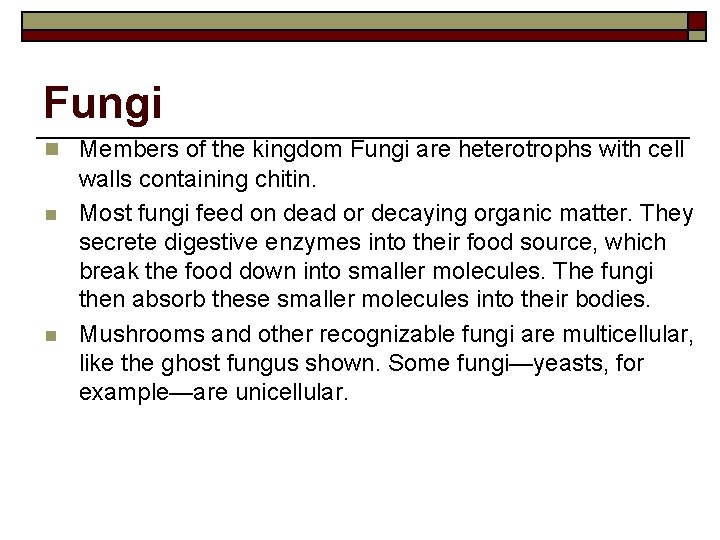 Fungi n Members of the kingdom Fungi are heterotrophs with cell n n walls
