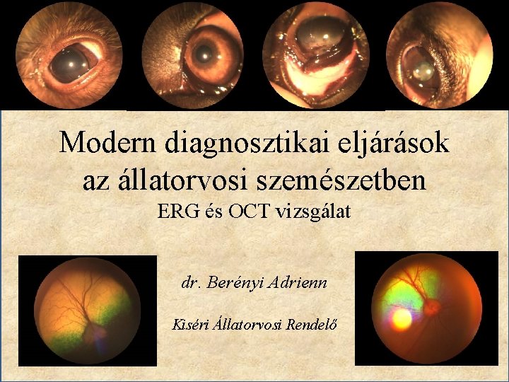 Modern diagnosztikai eljárások az állatorvosi szemészetben ERG és OCT vizsgálat dr. Berényi Adrienn Kiséri