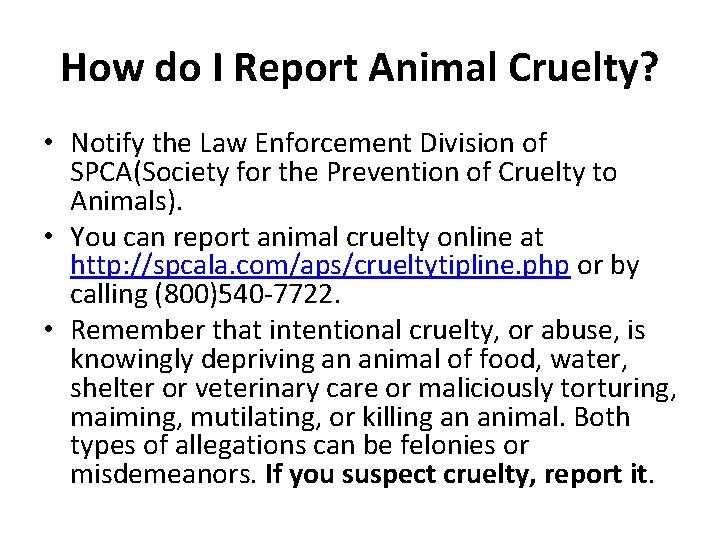 How do I Report Animal Cruelty? • Notify the Law Enforcement Division of SPCA(Society