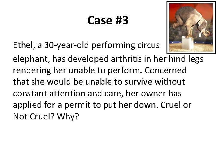 Case #3 Ethel, a 30 -year-old performing circus elephant, has developed arthritis in her