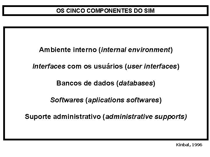 OS CINCO COMPONENTES DO SIM Ambiente interno (internal environment) Interfaces com os usuários (user