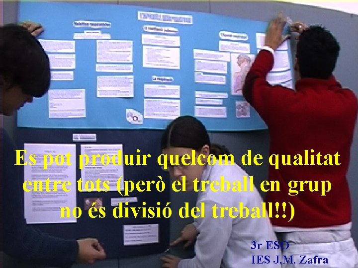 Es pot produir quelcom de qualitat entre tots (però el treball en grup no